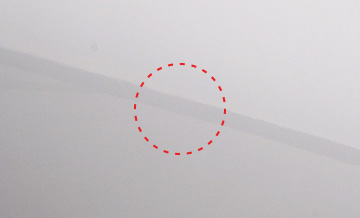 近くから見ても目立たない