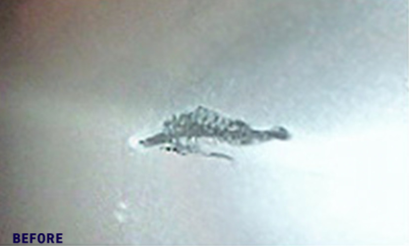 補修前のイメージ