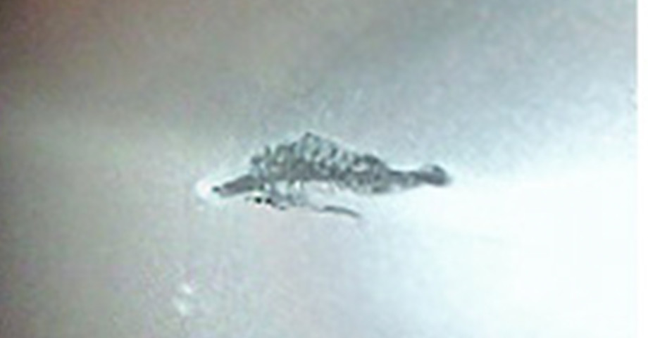 超極細スプレーで速攻リペア！バンパーの表面をこすったキズ