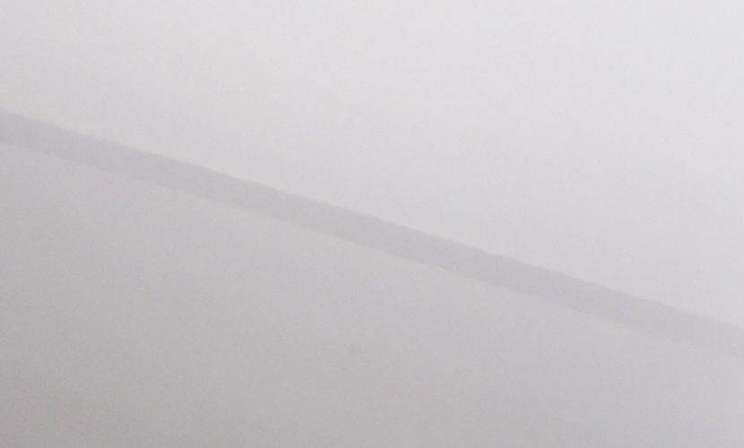 近くから見ても目立たない